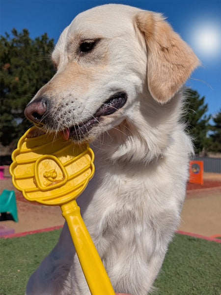 Jouet d'enrichissement pour chien - Lick Stick Honey - SodaPup