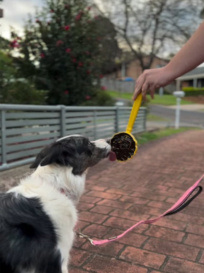 Jouet d'enrichissement pour chien