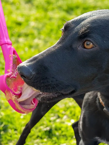 Jouet d'enrichissement pour chien - Lick Stick Ice Cream - SodaPup