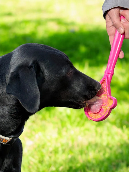 Jouet d'enrichissement pour chien - Lick Stick Ice Cream - SodaPup