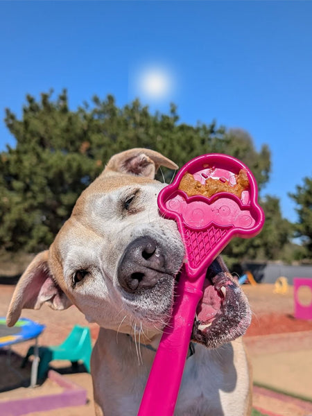 Jouet d'enrichissement pour chien - Lick Stick Ice Cream - SodaPup