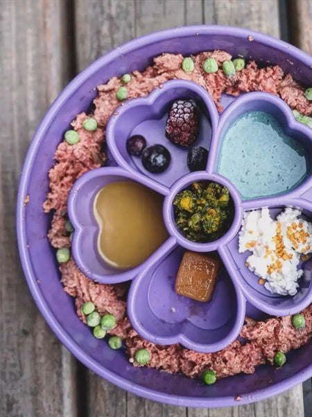 Gamelle d'enrichissement pour chien - Flower Violet - SodaPup