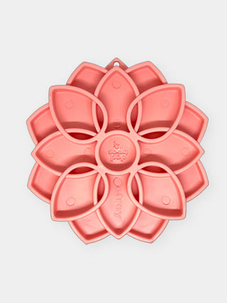 Tapis de léchage pour chien