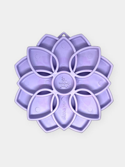 Tapis de léchage pour chien