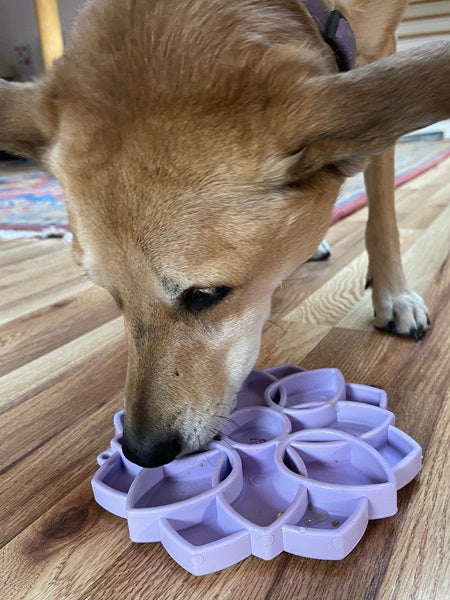 Tapis de léchage pour chien - Mandala Softie Violet Clair - SodaPup