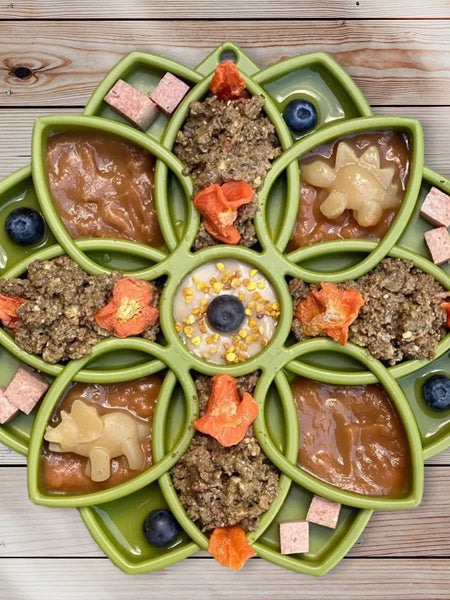 Gamelle d'enrichissement - Mandala - Vert - SodaPup