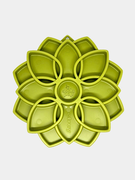 Gamelle d'enrichissement - Mandala - Vert - SodaPup