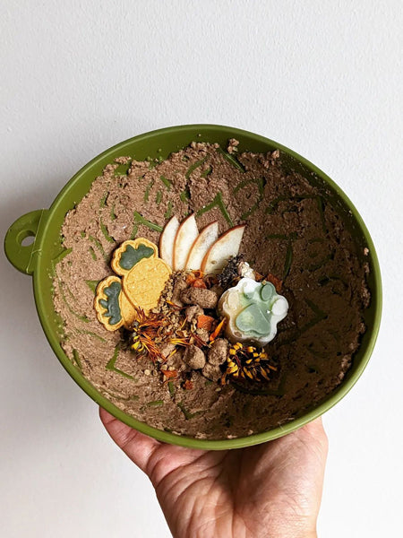 Bol de léchage - Tipsy Bowl Vert - SodaPup