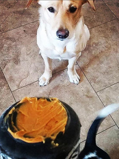 Jouet d'occupation pour chien