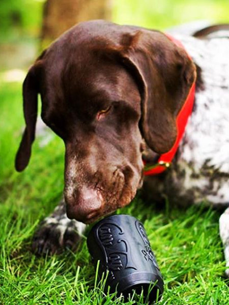 Jouet occupation pour chien -  Canette Noire - SodaPup