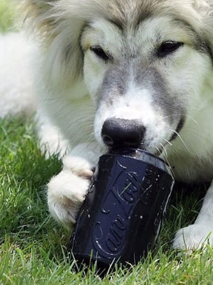 Jouet d'occupation pour chien