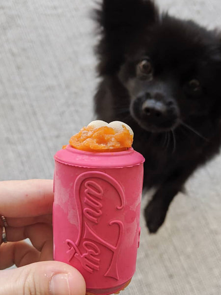 Jouet occupation pour chiot -  Canette Rose - SodaPup