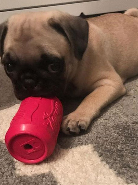 Jouet d'occupation pour chiot