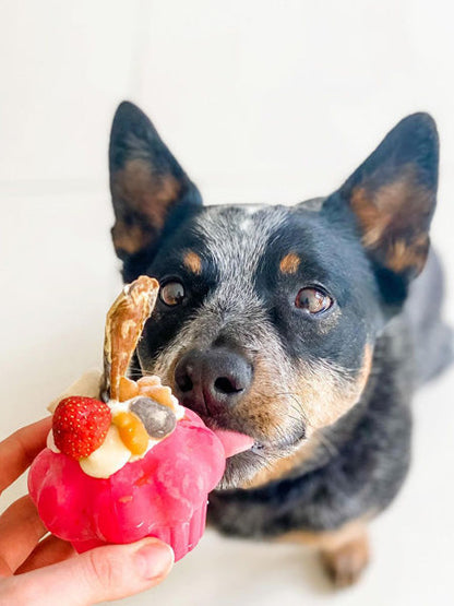 Jouet occupation pour chien -  Cupcake - SodaPup