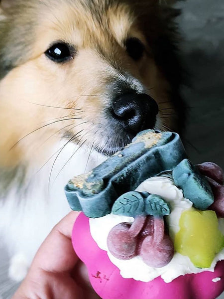 Jouet occupation pour chien -  Cupcake - SodaPup