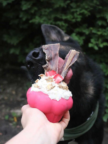 Jouet occupation pour chien -  Cupcake - SodaPup