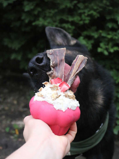 Jouet occupation pour chien -  Cupcake - SodaPup