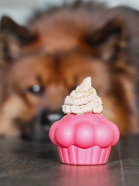 Jouet occupation pour chien -  Cupcake - SodaPup