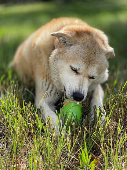 Jouet occupation pour chien - Gnome - SodaPup