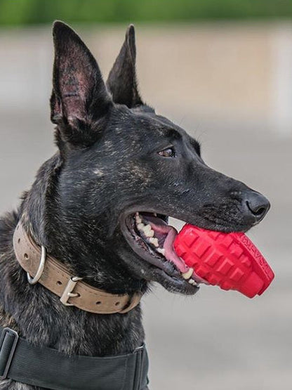 Jouet d'occupation pour chien