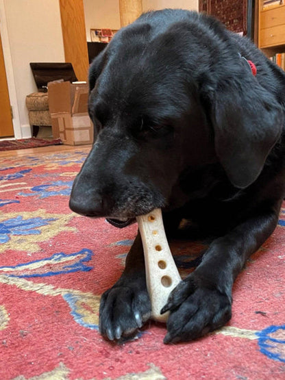 Jouet à mâcher ou à lécher pour chien