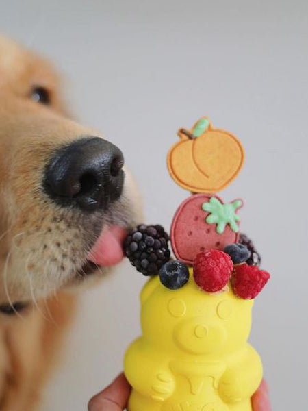 Jouet occupation pour chien - Honey Bear - SodaPup