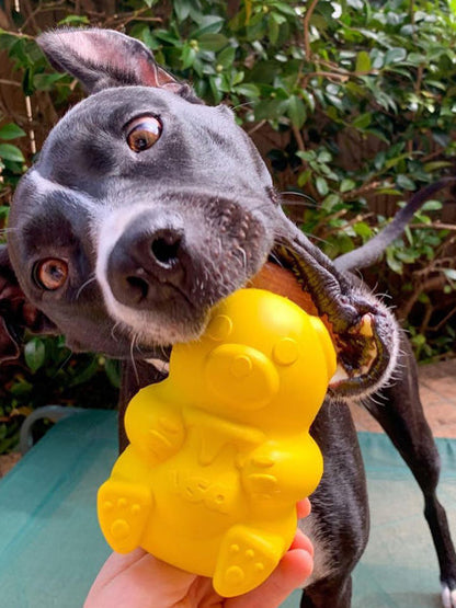 Jouet d'occupation pour chien
