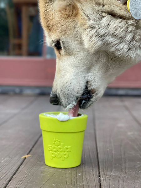 Jouet occupation pour chien - Pot de Fleur Vert - SodaPup