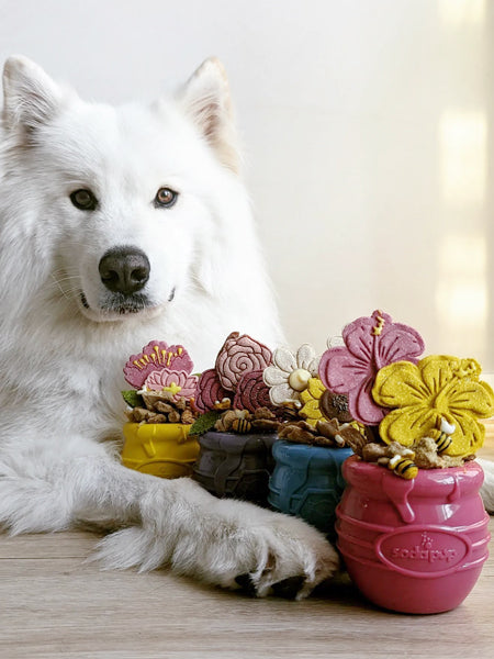 Jouet occupation pour chien - Pot de Miel Bleu (2 tailles) - SodaPup