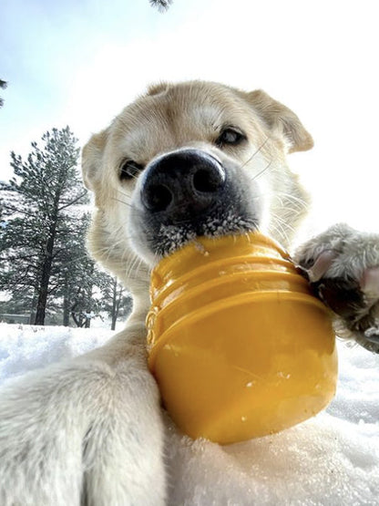 Jouet occupation pour chien - Pot de Miel (2 tailles) - SodaPup