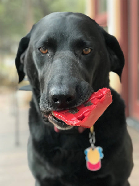 Jouet à mâcher ou à lécher pour chien