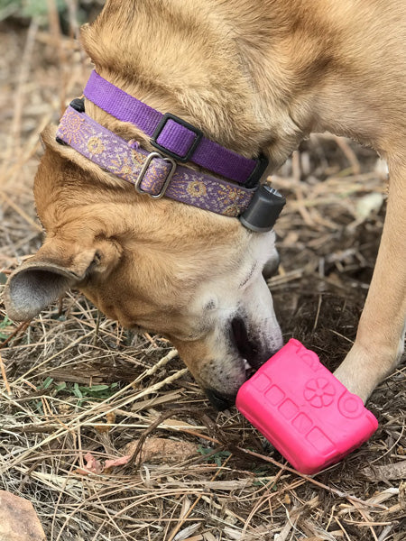 Jouet occupation pour chien - Retro Van - SodaPup