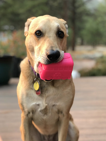 Jouet d'occupation pour chien