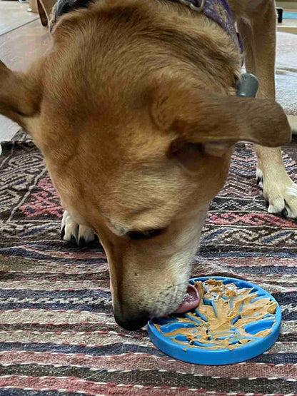 Jouet à mâcher ou à lécher pour chien - eCoin Air - SodaPup