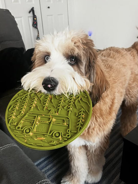 Tapis de léchage pour chien et chat - Evasion (2 coloris) - SodaPup