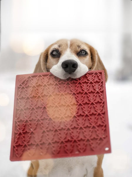 Tapis de léchage pour chien et chat - Sapin rouge 🎄 - SodaPup
