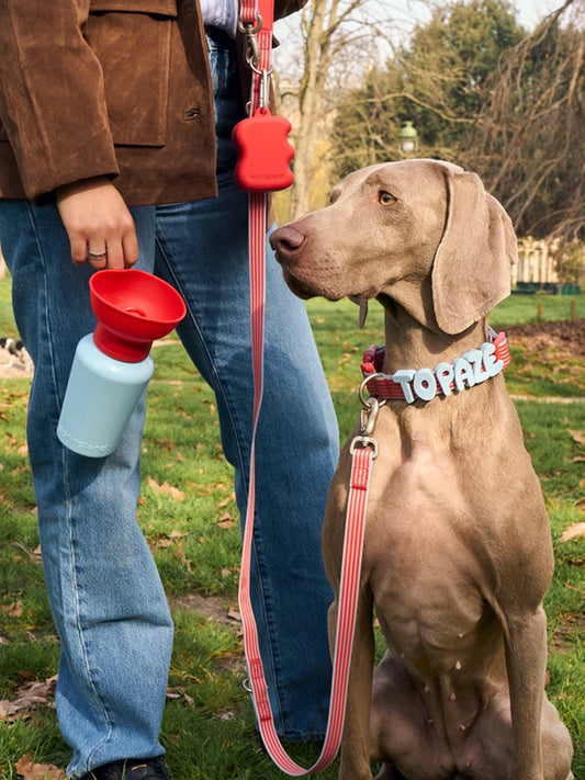 Gourde Springer Flip Dog - Ed. Limitée Cherry Sky - Springer