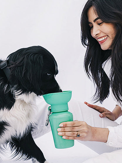 Gourde Springer Flip Dog avec distributeur d’eau - Vert - Springer