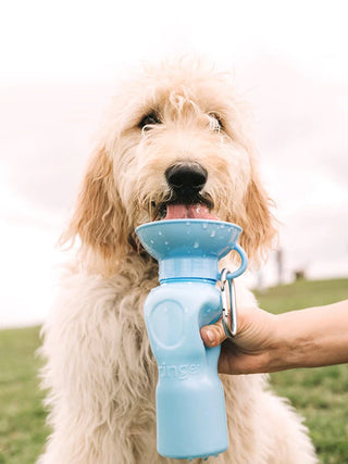 Gourde pour chien avec distributeur d’eau