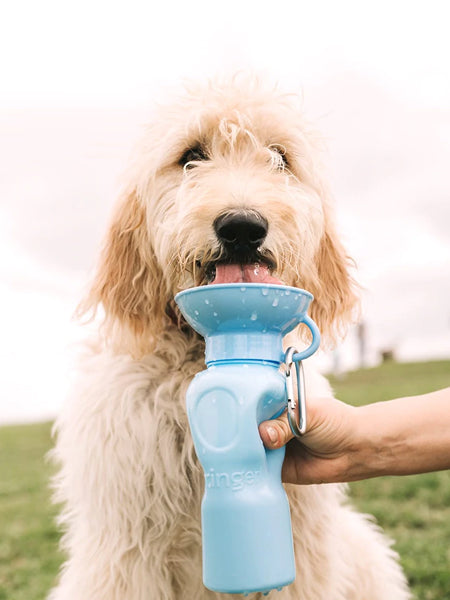 Gourde pour chien avec distributeur d’eau - Large (65 cl) Bleu - Springer