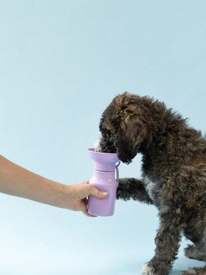 Gourde pour chien avec distributeur d’eau - Medium (44 cl) Lila - Springer