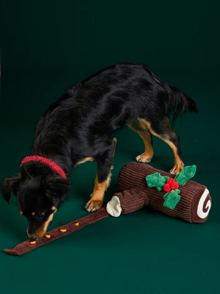 Jouet d'occupation pour chien