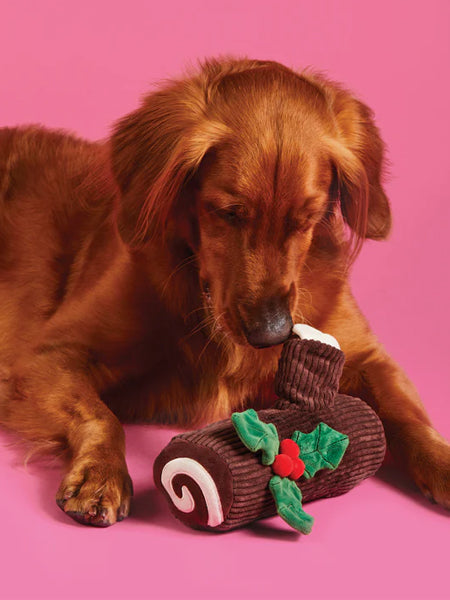 Jouet d'occupation pour chien