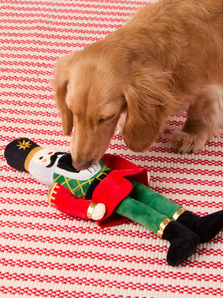 Peluche de Noël pour chien