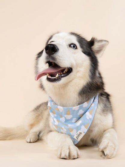 Bandana pour chien - Glace Bleu - The Paws