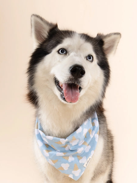 Bandana pour chien - Glace Bleu - The Paws