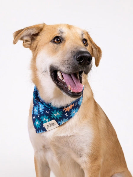 Bandana pour chien - Motif Blue Ridge - The Paws