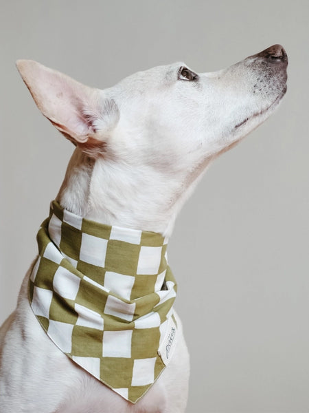 Bandana pour chien - Motif Checkmate ♟️ - The Paws