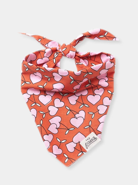 Bandana pour chien - Motif Cherrie Dog -  The Paws