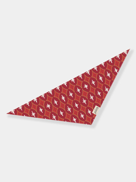 Bandana d'Hiver pour chien - Motif Cranberry - The Paws
